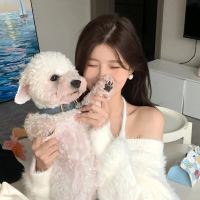 口碑佳作